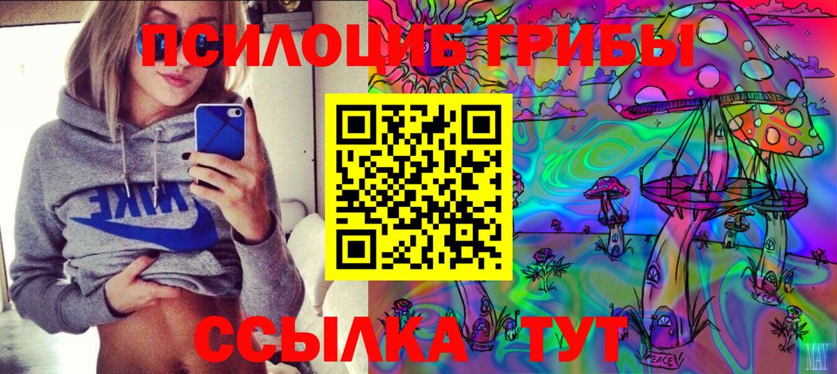 Псилоцибиновые грибы GOLDEN TEACHER  Вход с VPN  Кинель 
