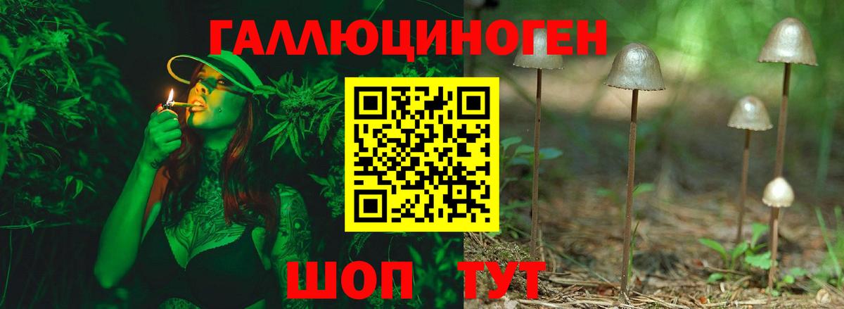 Псилоцибиновые грибы мицелий Кинель